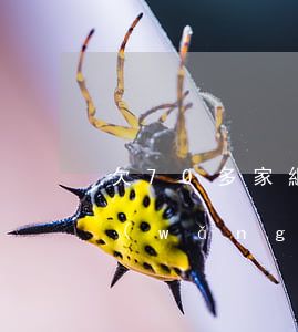欠70多家網(wǎng)貸(欠70多家網(wǎng)貸)