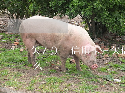 欠70萬信用卡-欠信用卡70萬還不起怎么辦