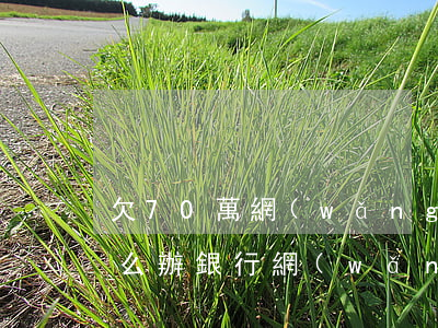 欠70萬網(wǎng)貸和銀行貸款該怎么辦(銀行網(wǎng)貸欠款幾十萬該怎么辦)