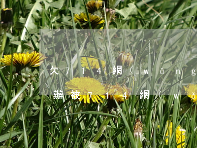 欠714網(wǎng)貸4000元怎么辦(被714網(wǎng)貸起訴了)