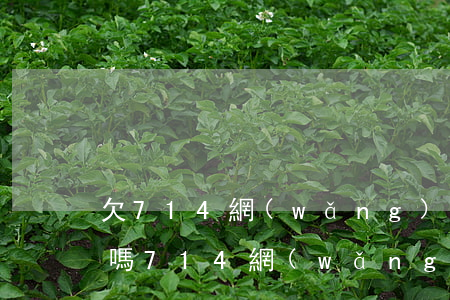 欠714網(wǎng)貸不還會影響征信嗎(714網(wǎng)貸不還會有什么后果)