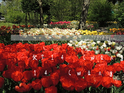 欠714網(wǎng)貸不還犯法嗎(被714網(wǎng)貸起訴了)