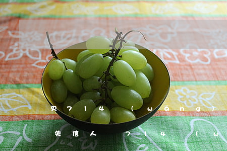 欠714網(wǎng)貸會(huì)上失信人嗎(714網(wǎng)貸不還會(huì)被起訴嗎)
