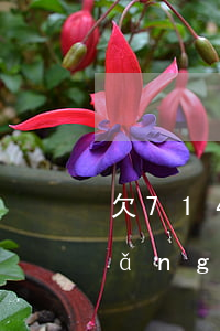 欠714網(wǎng)貸還能借嗎(網(wǎng)貸714借條的錢可以不還嗎?)