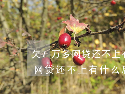 欠7万多网贷还不上有什么后果-欠7万多网贷还不上有什么后果吗
