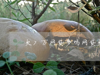欠7万网贷多吗(网贷欠七万多怎么还)