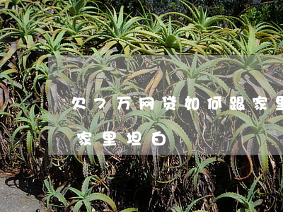 欠7万网贷如何跟家里坦白(网贷欠款十万跟家里坦白)