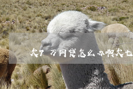 欠7万网贷怎么办啊(欠七万多网贷怎么办)