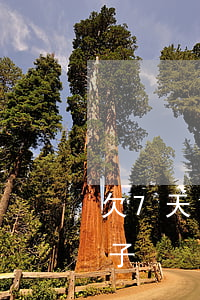 欠7天14天网贷怎么办(7天14天网贷口子)