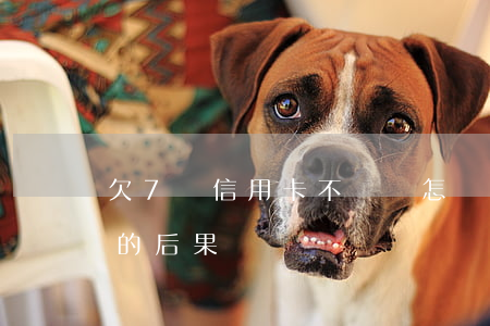 欠7萬信用卡不還會怎樣(信用卡欠款7萬元的后果)