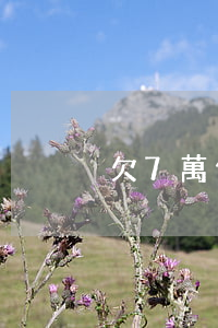 欠7萬信用卡怎么辦