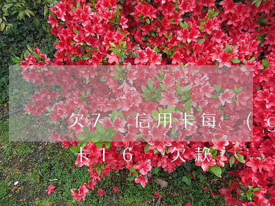 欠7萬信用卡每個(gè)月還有車貸(信用卡16萬欠款辦車貸)