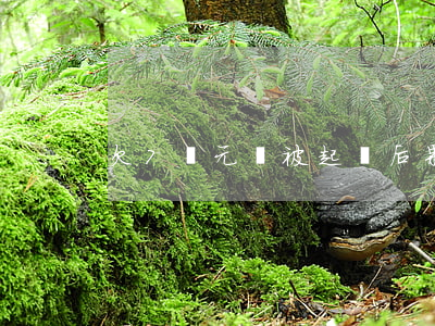 欠7萬元錢被起訴后果(欠七萬塊錢被起訴)