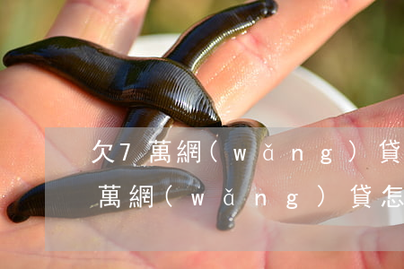 欠7萬網(wǎng)貸強制上岸(欠了七八萬網(wǎng)貸怎么上岸)