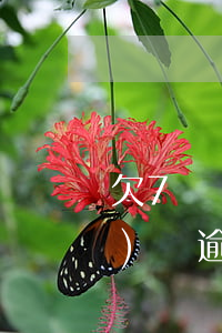 欠7萬網(wǎng)貸逾期(網(wǎng)貸逾期7年)