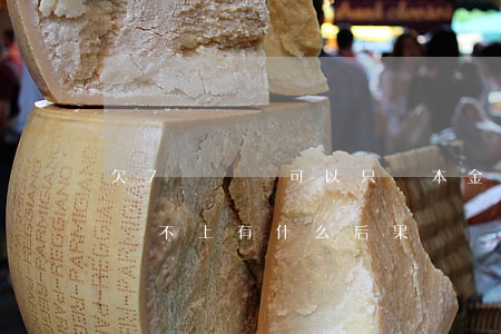 欠7萬網貸可以只還本金嗎(網貸欠了七萬多還不上有什么后果)