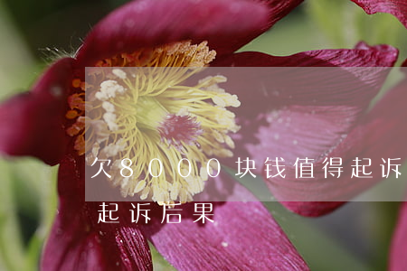 欠8000块钱值得起诉么(欠800元钱被起诉后果)