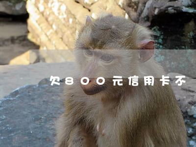 欠800元信用卡不還能起訴嗎-