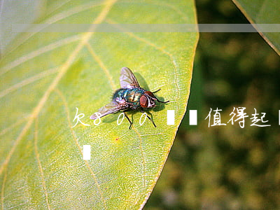 欠800塊錢值得起訴么(800塊錢能起訴嗎)