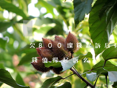 欠800塊錢起訴后有什么后果(欠800塊錢值得起訴么)