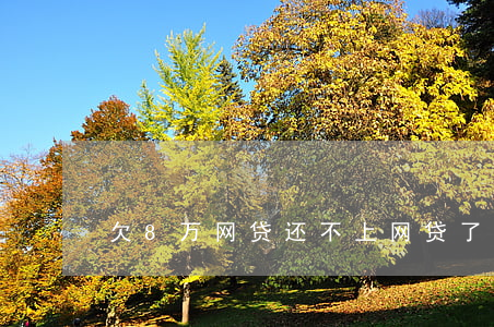 欠8万网贷还不上(网贷了8万还不了怎么办)