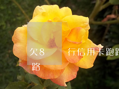 欠8個銀行信用卡跑路(欠8個銀行信用卡跑路)