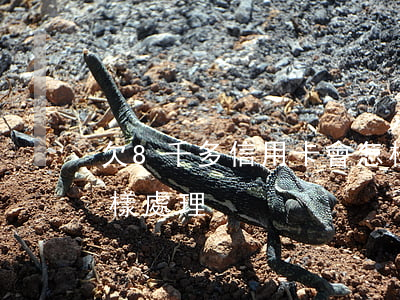 欠8千多信用卡會怎樣(欠8千多信用卡會怎樣處理)