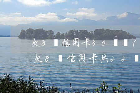 欠8張信用卡30萬預(yù)期怎么辦-欠8張信用卡共22萬無力還錢會(huì)坐牢嗎