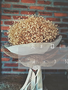 欠8萬(wàn)信用卡還不上(欠8萬(wàn)信用卡還不上會(huì)坐牢嗎)
