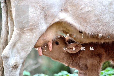 欠8萬(wàn)還不上微粒貸(欠8萬(wàn)還不上微粒貸)