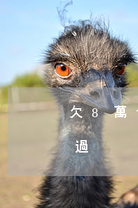 欠8萬信用卡怎么辦(欠8萬信用卡要怎樣度過)