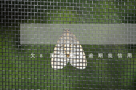 欠8萬信用卡逾期(我信用卡欠8萬逾期兩年)