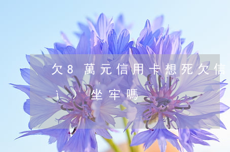 欠8萬元信用卡想死(欠信用卡8萬會(huì)坐牢嗎)