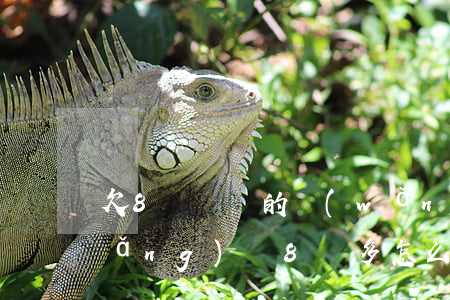 欠8萬塊錢的網(wǎng)貸(欠了網(wǎng)貸8萬多怎么辦?)