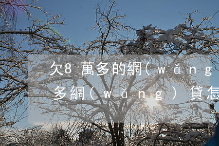 欠8萬多的網(wǎng)貸怎么辦(欠七萬多網(wǎng)貸怎么辦)
