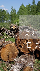 欠8萬網(wǎng)貸不敢和老公說怎么辦(欠了8萬網(wǎng)貸)