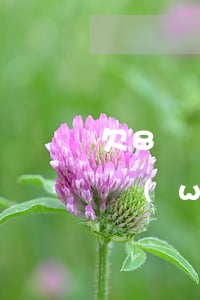 欠8萬網(wǎng)貸月工資7千正常嗎(網(wǎng)貸欠款7萬)