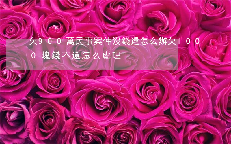 欠900萬民事案件沒錢還怎么辦(欠1000塊錢不還怎么處理)