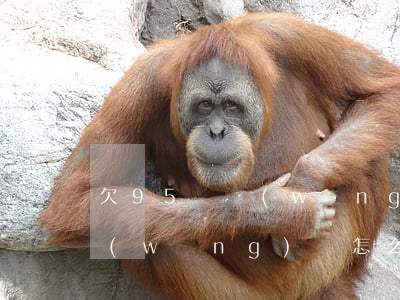 欠95萬網(wǎng)貸怎么辦(欠幾萬網(wǎng)貸怎么辦)
