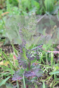 欠9家銀行信用卡不還會(huì)怎么樣-欠9家銀行信用卡不還會(huì)怎么樣嗎