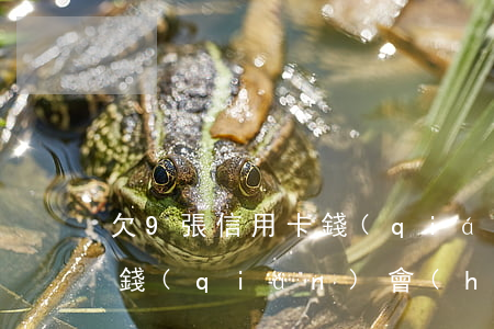欠9張信用卡錢(qián) 欠9張信用卡錢(qián)會(huì)坐牢嗎