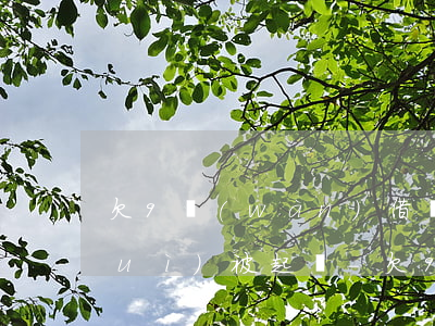 欠9萬(wàn)借唄花唄逾期多久會(huì)被起訴-欠9萬(wàn)借唄花唄逾期多久會(huì)被起訴呢