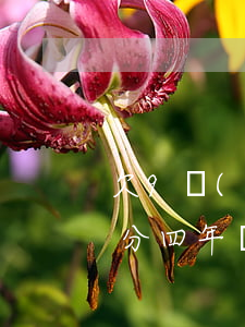 欠9萬(wàn)網(wǎng)貸怎么辦分四年還(網(wǎng)貸欠了四萬(wàn)多怎么辦)
