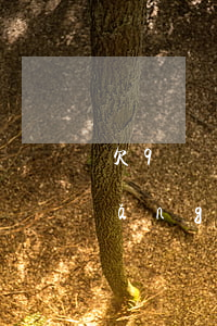 欠9萬網(wǎng)貸怎么辦(9萬網(wǎng)貸怎么還)