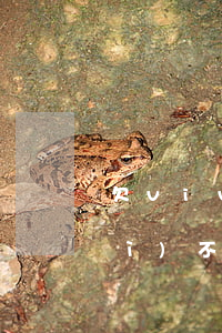 欠vivo錢(qián)包逾期會(huì)不會(huì)上征信-欠vivo錢(qián)包逾期會(huì)不會(huì)上征信呢