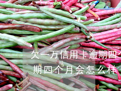 欠一万信用卡逾期四个月-欠一万信用卡逾期四个月会怎么样