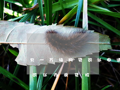 欠一万块网贷可以申请房贷吗(有一万多网贷可以办房贷吗)
