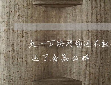 欠一万块网贷还不起如何是好(欠网贷一千不还了会怎么样)