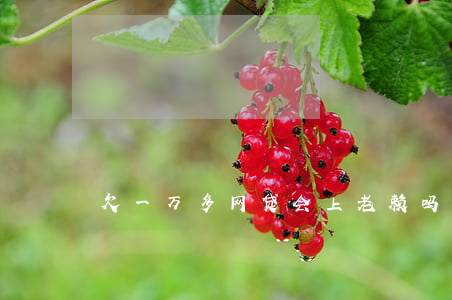 欠一万多网贷会上老赖吗