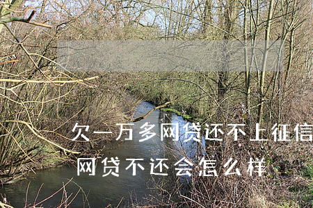 欠一万多网贷还不上 征信会黑吗(欠上征信的网贷不还会怎么样)